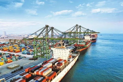 貨物出口保稅區(qū)再進口流程詳解